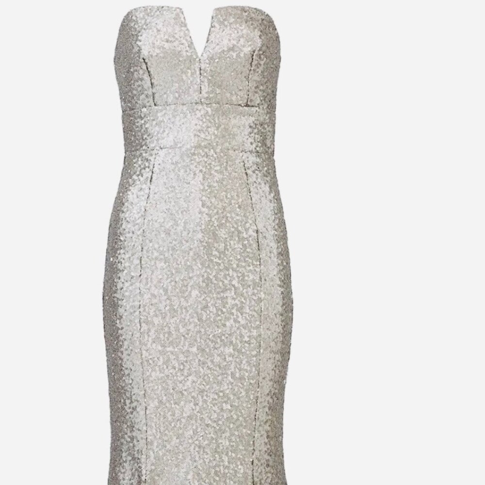Cooper Street Midnight Lucky Gown Silver Sequin Gown size:10L